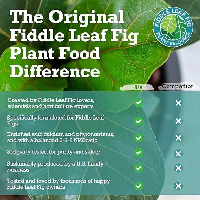 Fiddle Leaf Fig Plant Food – 3‑1‑2 Balanced NPK Liquid Fertilizer for Larger Leaves Stronger Roots &amp Steady Vibrant Growth | Suitable for All Ficus Including Ficus Lyrata | Made in USA | 8 oz