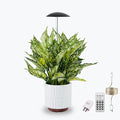 LED Grow Lights for Indoor Plants Smart USB Small Full Spectrum Plant Lights with Remote Height Adjustable Auto On/Off Timer Ideal for Home Decoration Black