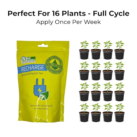 Real Growers Recharge 16oz – Mycorrhizae &amp Soil Microbes Instant Compost Tea for Root Growth Transplant Support &amp Nutrient Uptake