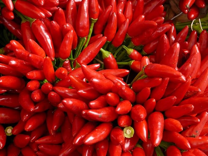 Hot Pepper Chili Pepper Seeds Collection (6 Types) Bird's Eyes Cayenne Fresno Jalapeno Habanero Serrano Red Hot Organic Heirloom Non GMO Seed for Planting (100)