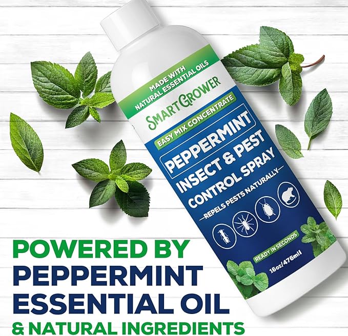 Peppermint Insect &amp Pest Control Best Value Concentrate - Repels Insects &amp Pests for Home Indoor Outdoor Garden - Maximum Strength Concentrate (Makes Two Gallons RTU) 16 oz