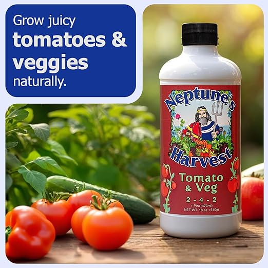 Neptune's Harvest Organic Plant Fertilizer | Liquid Fertilizer for Lawn Garden &amp Houseplant | Rich in Essential Nutrients | Tomato &amp Veg 2-4-2 (Pint) + Rose &amp Flowering Plant Food 2-6-4 (