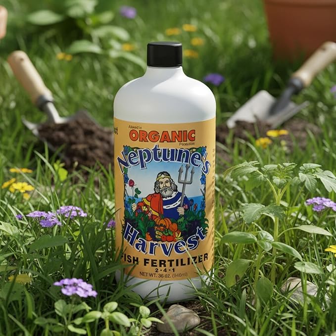 Neptune's Harvest Fish Fertilizer (2-4-1) - Organic Liquid Plant Fertilizer - Fish Hydrolysate for Vegetables Flowers Fruit Trees Grass - Indoor and Outdoor Plant Food (Quart)