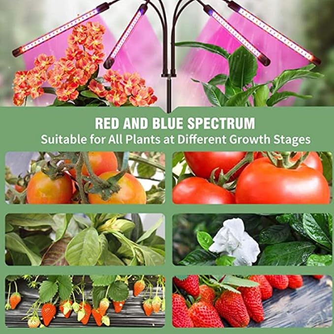 SagaSave LED Grow Light for Indoor Plants Full Spectrum Clip Single Head Plant Growing Lamp with 3 Light Modes and 3 Timing Levels 3/9/12 Hr Auto On Off (1 Head)