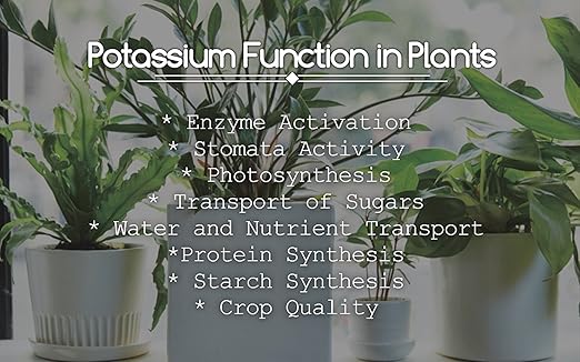 Greenway Biotech Inc. Monopotassium Phosphate Fertilizer 0-52-34-100% Water Soluble Hydroponics for Root Strength - Increase Yield and Blooming - High Purity Plant Nutrient Formula - 10 Pounds