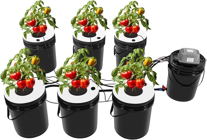 Hydroponics Growing System Kit RDWC Top Feed Drip Hydroponics Systems Recirculating Deep Water Culture Hydroponic Bucket System Indoor Gardening System (Air Pump + 6 Buckets + Reservoir + Drip Kit)