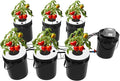 Hydroponics Growing System Kit RDWC Top Feed Drip Hydroponics Systems Recirculating Deep Water Culture Hydroponic Bucket System Indoor Gardening System (Air Pump + 6 Buckets + Reservoir + Drip Kit)