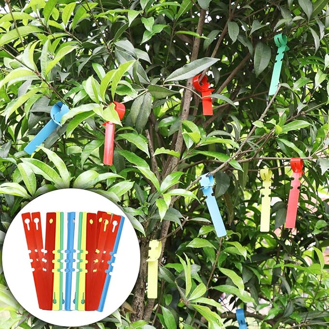 Garden Grafting Tool Kits ZALALOVA 2 in 1 Pruning Tools Including Grafting Knife Replacement Blades Grafting Tapes Rubber Bands and Labels for Plant Branch Vine Fruit Tree Cutting