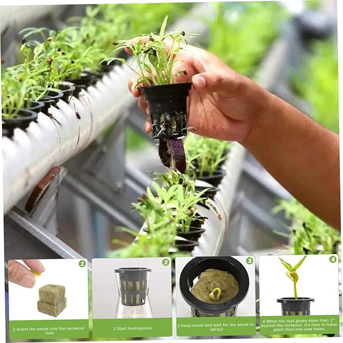 Rockwool Cubes Hydroponic Growing System with Net Pots - 72 Plugs 50 Cups &amp 20m Wick for Hydroponics