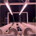 Hydroponics Growing Vertical Hydroponics Growing with Led Grow Lights for Family Farm Vegetables Planting Lecture Planter Hydr