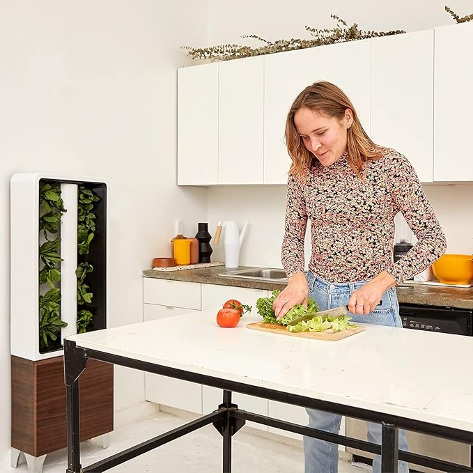 Just Vertical EVE Tower Garden | Hydroponic Growing System | Grow 12 Fresh Herbs &amp Vegetables Year-Round | Self-Watering Energy-Efficient LED Compact Design Fully Assembled | Walnut