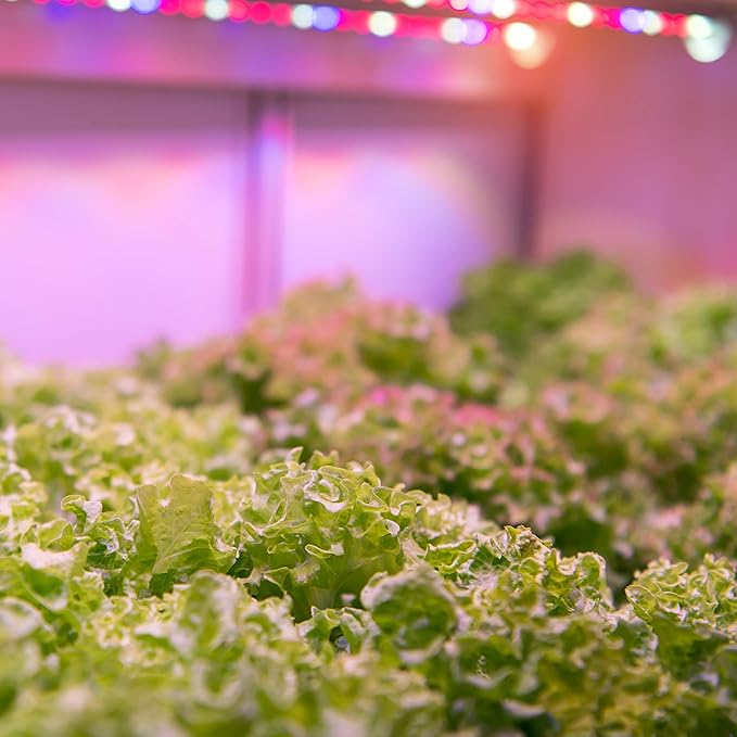 Feit Electric 80W LED Full Spectrum High Bay Grow Light (GLP14FS/HB/80W/LED) 14''