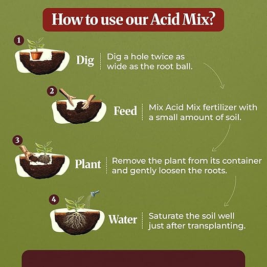 Down to Earth Organic Acid Mix 4-3-6 &amp Fruit Tree Fertilizer 6-2-4 Bundle | Nourishes Acid-Loving Plants &amp Fruit Trees | Organic Ingredients for Healthy Growth &amp Abundant Harvests | 5 LB E