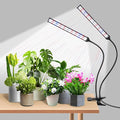 Indoor Clip-on Plant Growth Light Full Spectrum Grow Light with 156 LEDs Flexible Gooseneck and 4/8/12H Timer 3 Spectral Modes 10 Levels of Dimming Suitable for Seedlings and Succulent Seeds