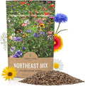 Sweet Yards - Northeast Wildflower Seed Regional Mixes - Bulk 1/4 Pound Bag - Over 30000 Native Seeds - Open Pollinated and Non GMO Varieties for New York Virginia Pennsylvania Maine and More!