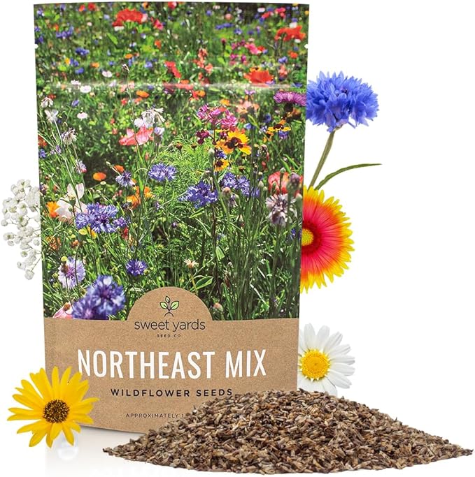 Sweet Yards - Northeast Wildflower Seed Regional Mixes - Bulk 1/4 Pound Bag - Over 30000 Native Seeds - Open Pollinated and Non GMO Varieties for New York Virginia Pennsylvania Maine and More!