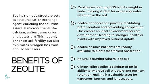 5 Pounds Clinoptilolite Zeolite Soil Conditioner Milled Fertilizer Powder