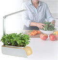 Hydroponic Systems Interior Plants Cultivation Lights Without Seasonal Restrictions Adjustable Height Interior Gardening Kit Suitable for Seedlings/Seeds/Succulents