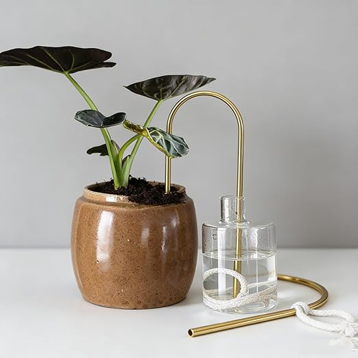 Self-Watering Plant Wick System Brass and Cotton U-Shaped Automatic Drip Irrigation for House Plants (Gold)