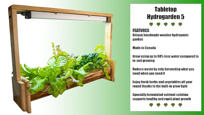 Tabletop Hydrogarden 5 Spots