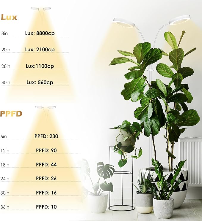 GLOWRIUM Grow Lights for Indoor Plants Full Spectrum LED Grow Light Floor Lamp with Stand Adjustable Height and Angle Black Plant Light with 3/9/12H Grow Light Timer (White 36W)