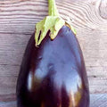 Organic Black Beauty Eggplant - 1 OZ ~6500 Seeds - Non-GMO Open Pollinated Heirloom Vegetable Gardening Seeds