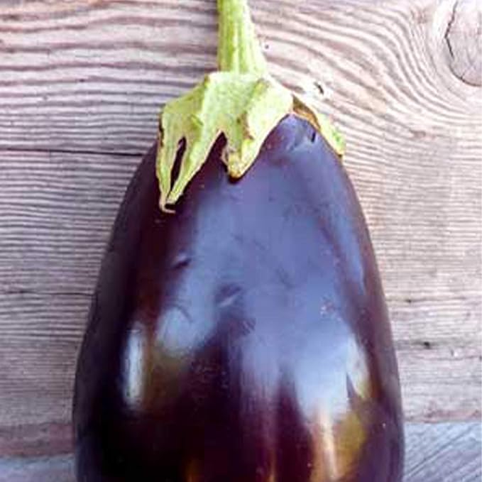 Organic Black Beauty Eggplant - 1 OZ ~6500 Seeds - Non-GMO Open Pollinated Heirloom Vegetable Gardening Seeds