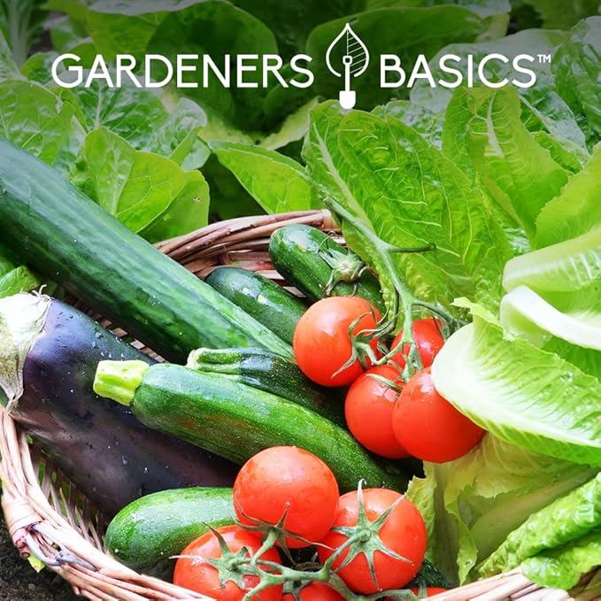Gardeners Basics Seed Safe Kit - 35 Easy to Grow Heirloom Vegetable Seeds for Beginners - Non GMO Garden Starter Set with 17000+ Seeds - Gardening Gift for Families