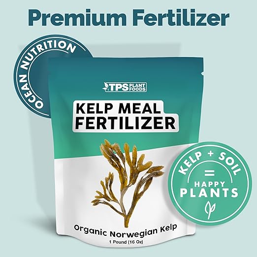 Organic Kelp Meal Fertilizer Dry Seaweed Granular for Plants and Gardening 1 lb (1 Pound)