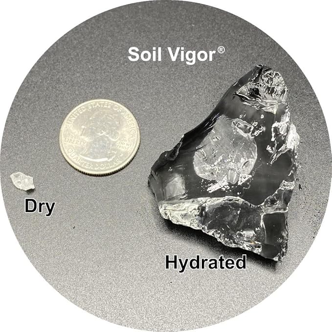 Introducing Soil Vigor® Granular: Revolutionizing Plant Hydration and Growth - 2 Pounds (Large Granules / 5-10 mesh)