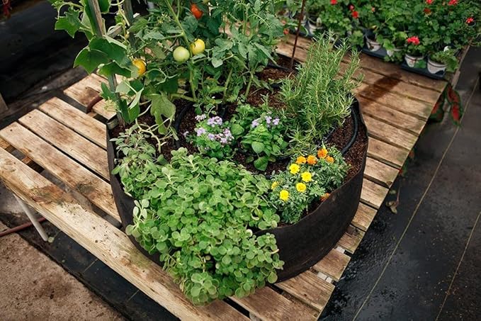 30/cs Big Bag Raised Bed Mini