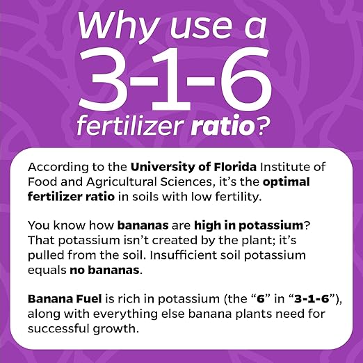 Wellspring Gardens Banana Fuel Liquid Fertilizer - Plant Fertilizer Concentrate - Plant Food - Formula for Banana Trees &amp Plants - Grow Healthy and Happy Plants - 32 fl oz