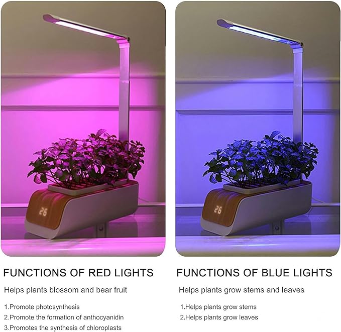 Full System of Hydroponic Culture Plants Lights Water Level Indicator Adjustable Height Interior Cultivation Kit Gardening Hydroponic Succulents