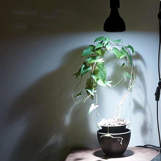 Plant Light Bulb - Grow Lamp LED Portable Full Spectrum | Energy Saving Indoor Lighting for Greenhouse Terrarium Vegetables Care Aquarium Garden Seedling Setup Flowering Growth Support