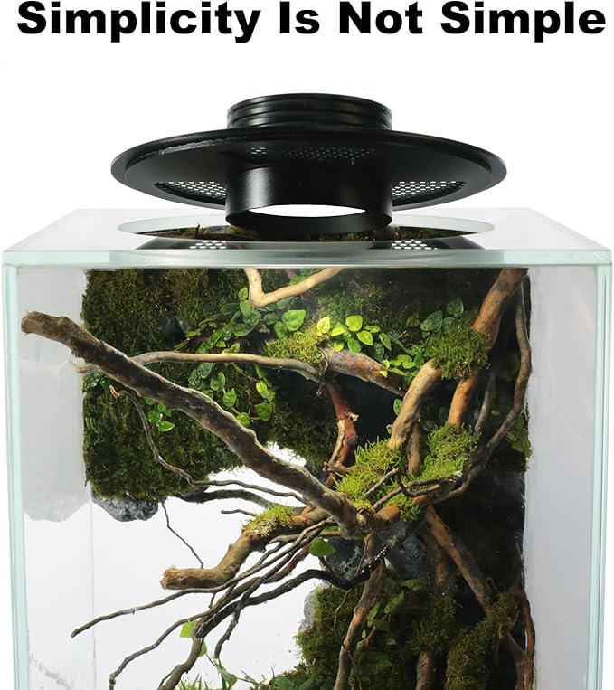 Desktop Glass Plant Terrarium with Grow Light(L7.8 W7.8 H14) for Succulent Moss Miniature Gardening Landscape Betta Fish Tank Indoor Plant Growth Office Home Decoration (TimeControlled)