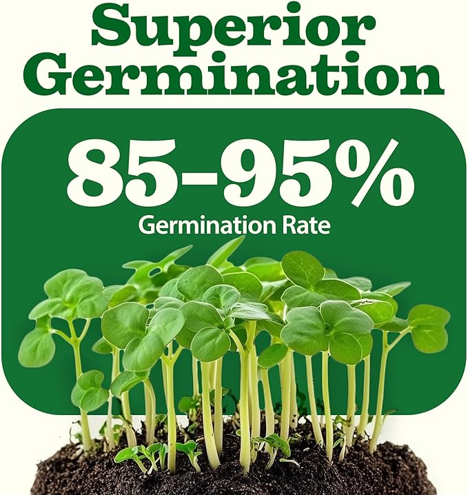 32 Heirloom Vegetable and Fruit Seeds for Planting - 16000+ Seeds | Non-GMO Survival Seed Vault | High Germination | 32 Varieties of Vegetable Seeds for Your Home Survival Garden