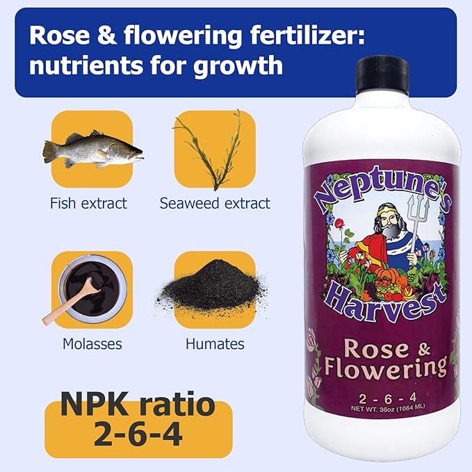 Neptune's Harvest Rose &amp Flowering Fertilizer (2-6-4) - 36oz Bottle - Organic Liquid Food for Vibrant Blooms &amp Growth - Promotes Healthy Foliage - Ideal Fertilizer for Indoor &amp Outdoor Use