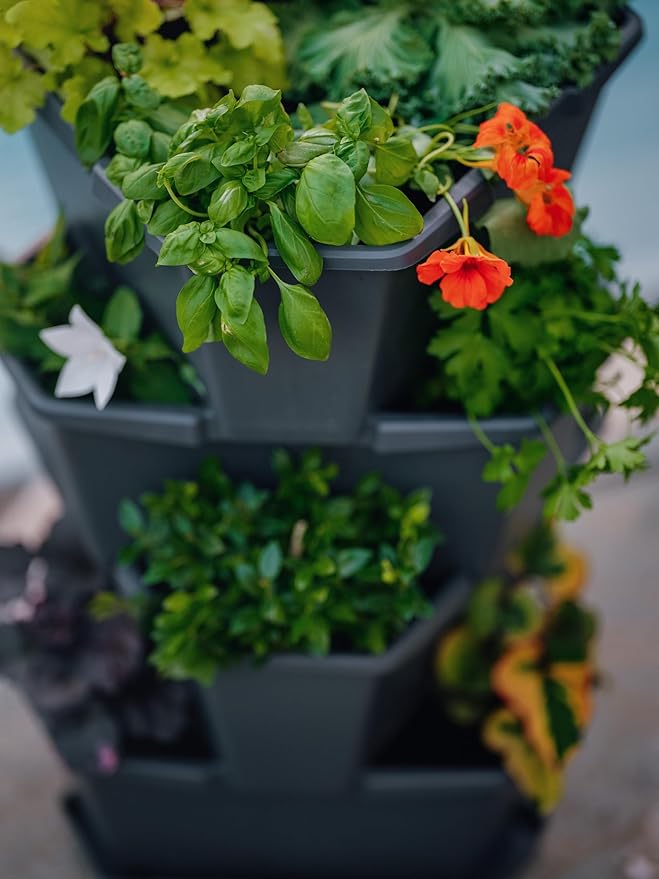 BUZZY Seeds Starter Stackable Vertical Planter – 4-Level Raised Garden Tower for Potatoes Strawberries Vegetables &amp Flowers (Gray)