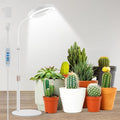 Grow Lights for Indoor Plants 80 LED Full Spectrum Desk Plant Light for Growing Small Plant Height Adjustable 24.5 Halo Grow Lamp with Base 6/12/16H Timer 3 Light Modes 5 Dimming