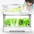 Hydroponics Growing System20W LED Grow Light + Automatic Timer + 4L Water Tank Hydroponic Growing Kits - Intelligent Growing System Smart Garden GYL24824
