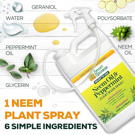 Neem Oil Spray for Plants with Peppermint Oil 128oz with Trigger Sprayer Natural Plant Wash Made for Indoor and Outdoor Plants - 128oz Smart Grower