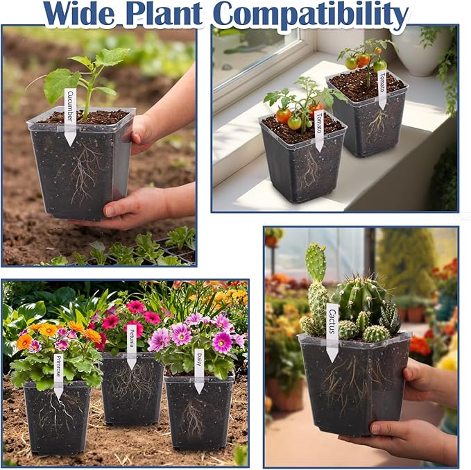 5.5 Inch Clear Square Nursery Pots with Drainage &amp Labels 30Pcs Reusable Seed Starter Pots for Vegetables Indoor Outdoor Gardening Thick Transparent Plastic Plant Pots for Seed Starting