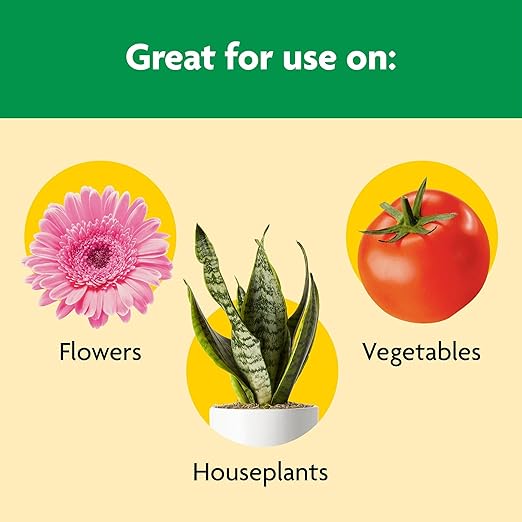 Miracle-Gro Shake 'N Feed All Purpose Plant Food - Outdoor and Indoor Plant Food for In-Ground and Containers Feeds for up to 3 Months 4.5 lbs. (6-Pack)