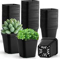 100 Pack Plant Nursery Pots 3.15 Inch Durable Square Seedling Pots with Drainage Holes Reusable Small Plastic Flower Pots for Seed Starting Transplanting Herb Garden