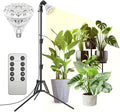 SANSI Grow Lights for Indoor Plants 4 Dimmable Levels 30W Full Spectrum Plant Lights for Indoor Growing Tripod Stand Adjustable 30-55 Plant Grow Light with Remote Control Auto Timer