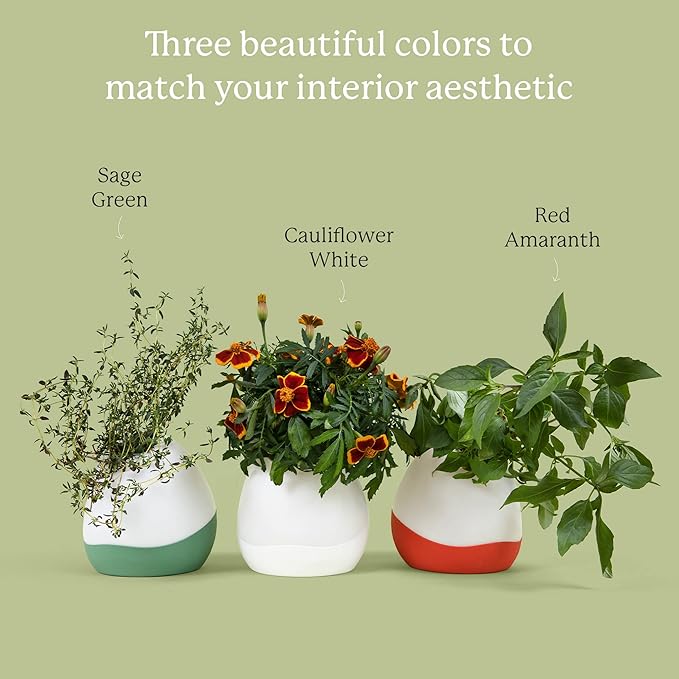 Gardyn Vase Complete Kit - Sage Green | Designed for use with Gardyn Hydroponics Growing System Kits &amp Vertical Garden Hydroponic Gardens | Bring Gardyn’s Indoor Plants to All Areas of Your Home
