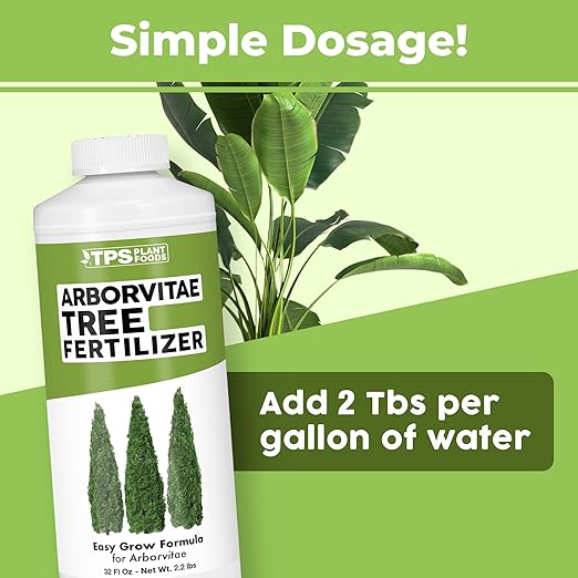 Arborvitae Tree Fertilizer – Liquid Plant Food for Fuller Green Foliage Faster Growth &amp Stronger Root Development 32 oz