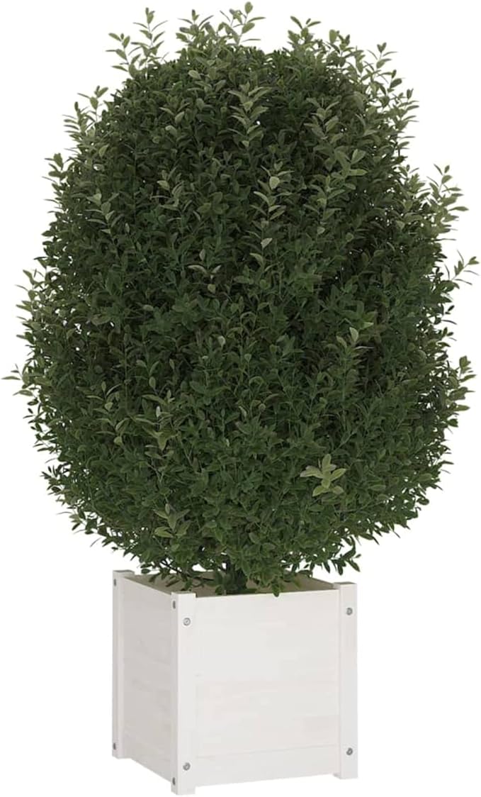 Raised Bed Wood Raised Beds for Garden Wooden Raised Bed Planter Raised Bed Wood White Herb Bed Wood Flower Box Flower Box Flower Tub Garden Planter 40 x 40 x 40 cm