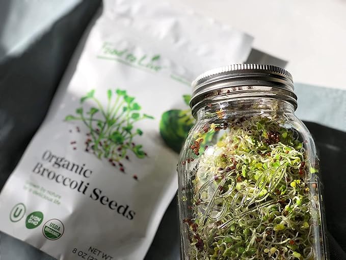 Food to Live Organic Broccoli Seeds for Sprouting 1.5 Pounds – Non-GMO Vegan Kosher Sirtfood Bulk. Rich in Sulforaphane Vitamin C. Grow Sprouts Microgreens for Salads and Sandwiches