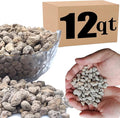 12QT Horticultural Pumice for Plants Professional Sifted - for Succulents Cactus Bonsai Plants - 3/8 inch (12QT)